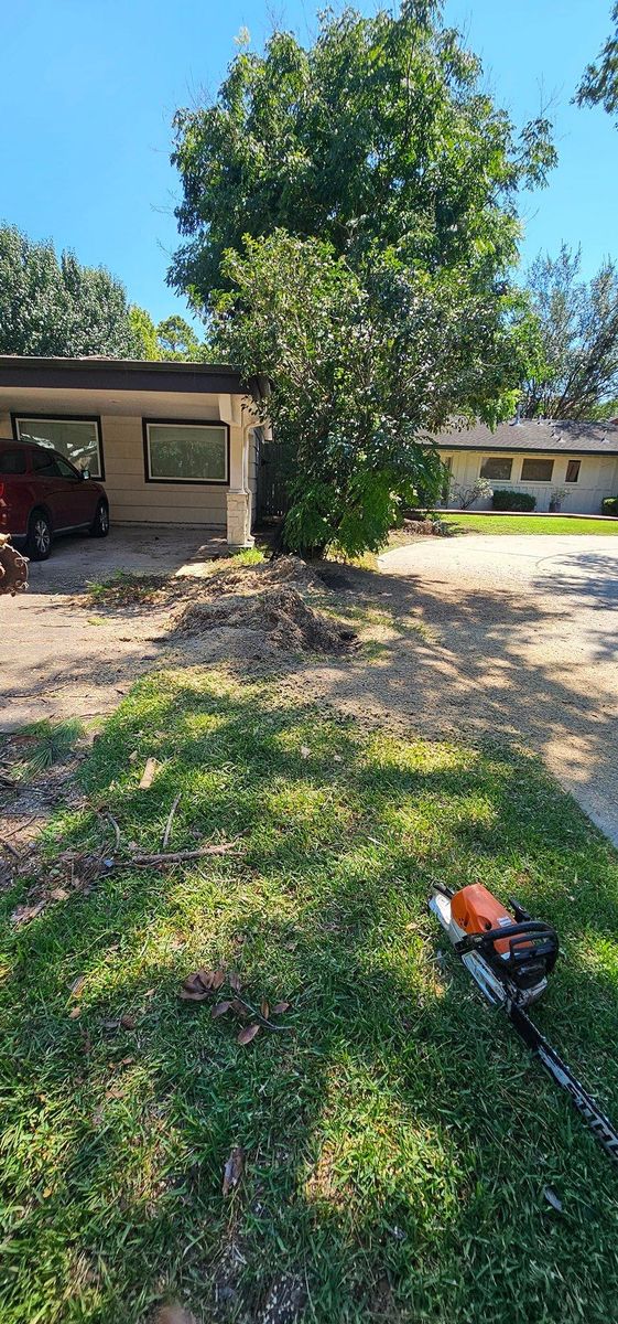 Fall Clean Up for Servin's Tree Care  in Houston, TX
