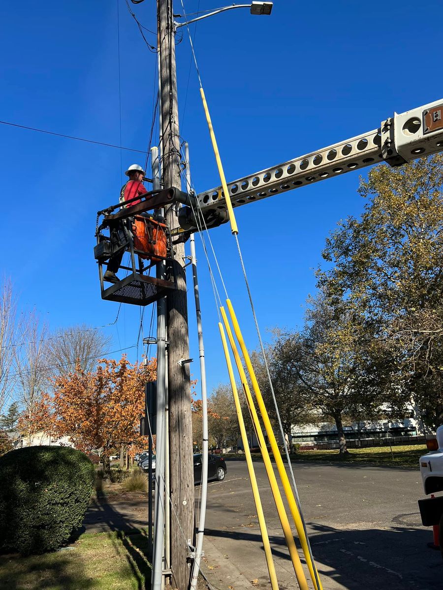 Tree Trimming for Hammons Construction LLC in Eugene, OR