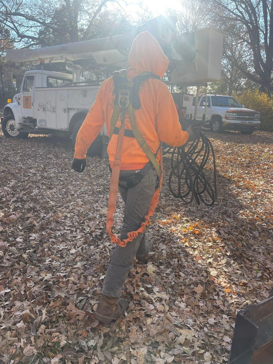 Tree Trimming for Ross Family Tree Service LLC  in Hohenwald, TN