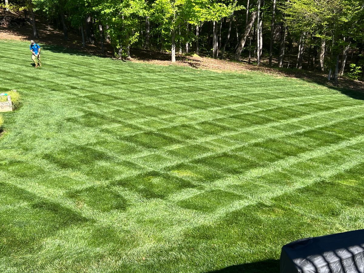 Fertilization and Weed Control Programs for Malboeuf Landscaping, Inc in Kernersville, NC