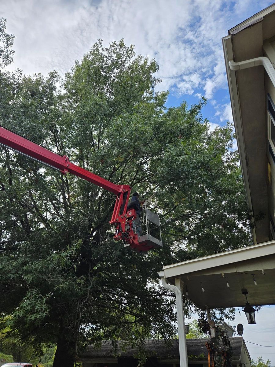 Tree Removal for Lawn Ranger Yard And Tree Service LLC in Ottumwa, IA