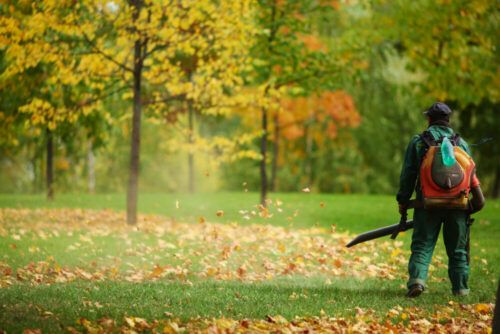 Leaf Clean Up for Eric's Property Service in Conestoga, PA