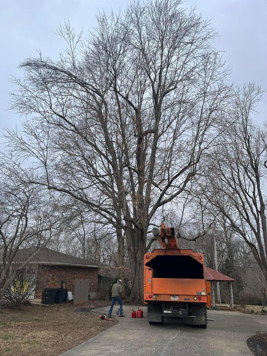 Emergency Tree Services for Curtis Tree Service LLC in Hopkins County, KY