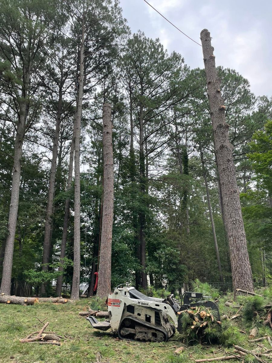 Tree Removal for Ace Tree Service  in Fuquay-Varina, NC