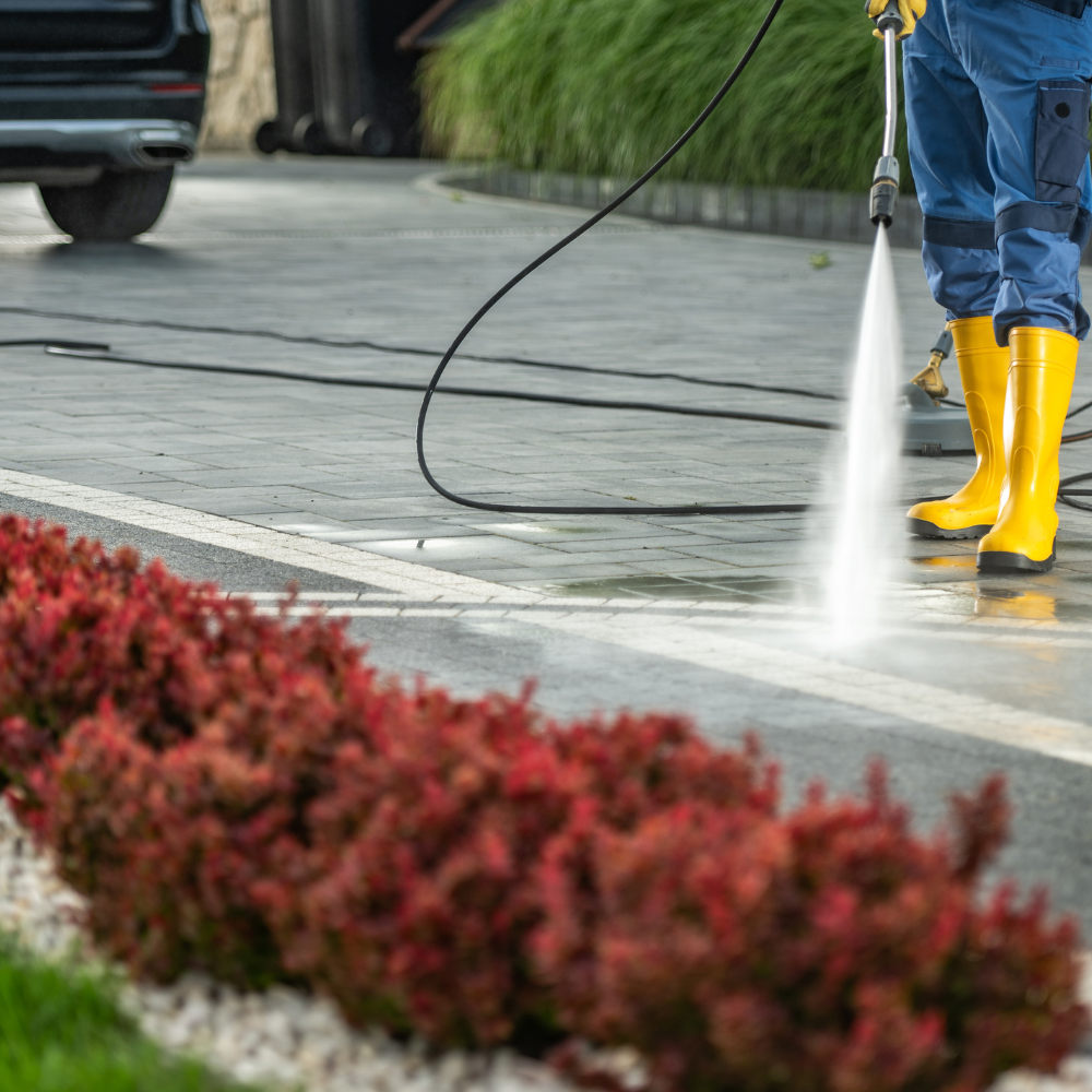 Surface Cleaning for radPAD - Home Service Pros in Carlsbad, CA