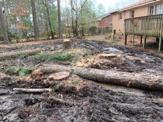 Land Clearing for Thompson Tree Climbers, LLC in Lexington, SC