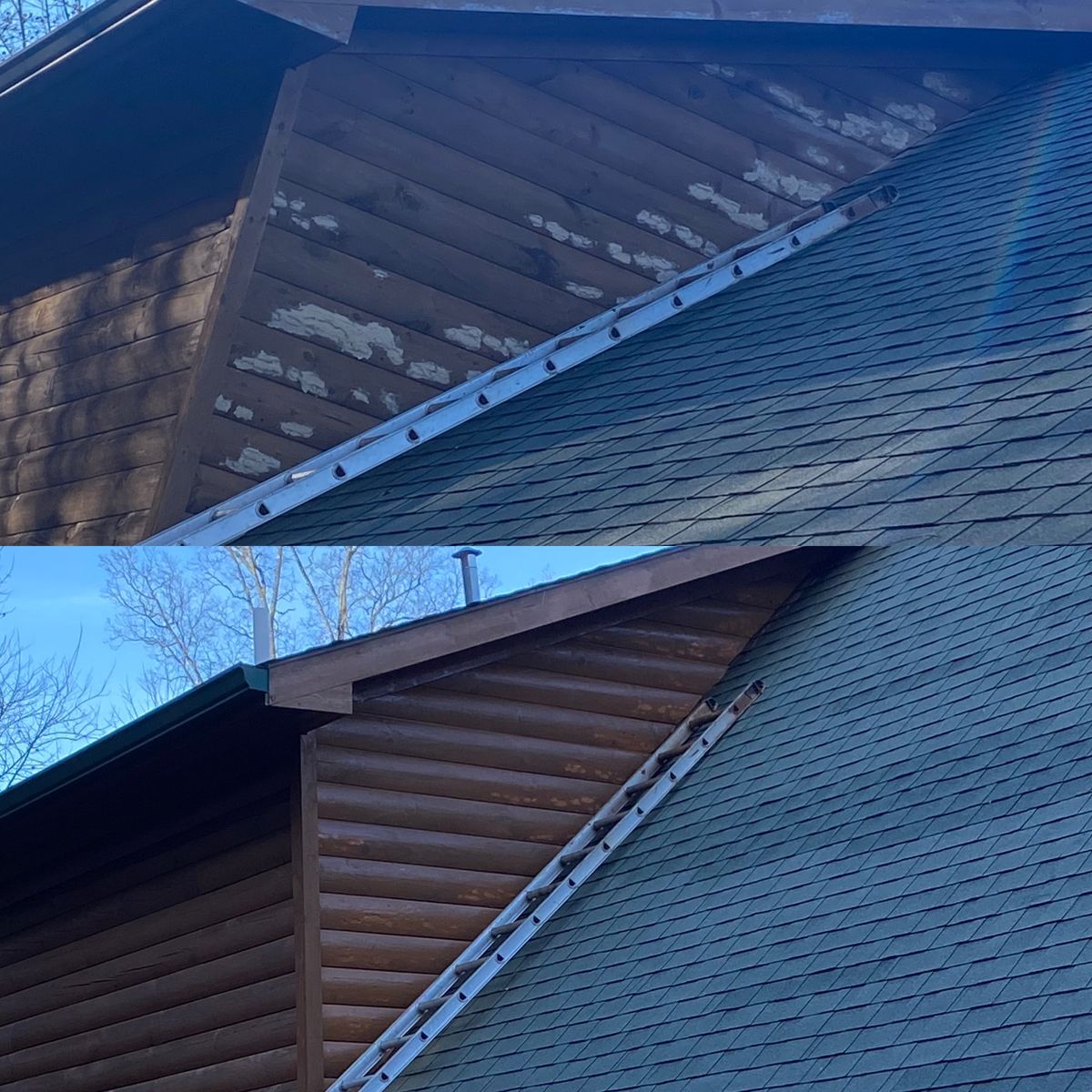 Woodpecker Damage Repairs for Master Log Home Restoration in Philadelphia, PA