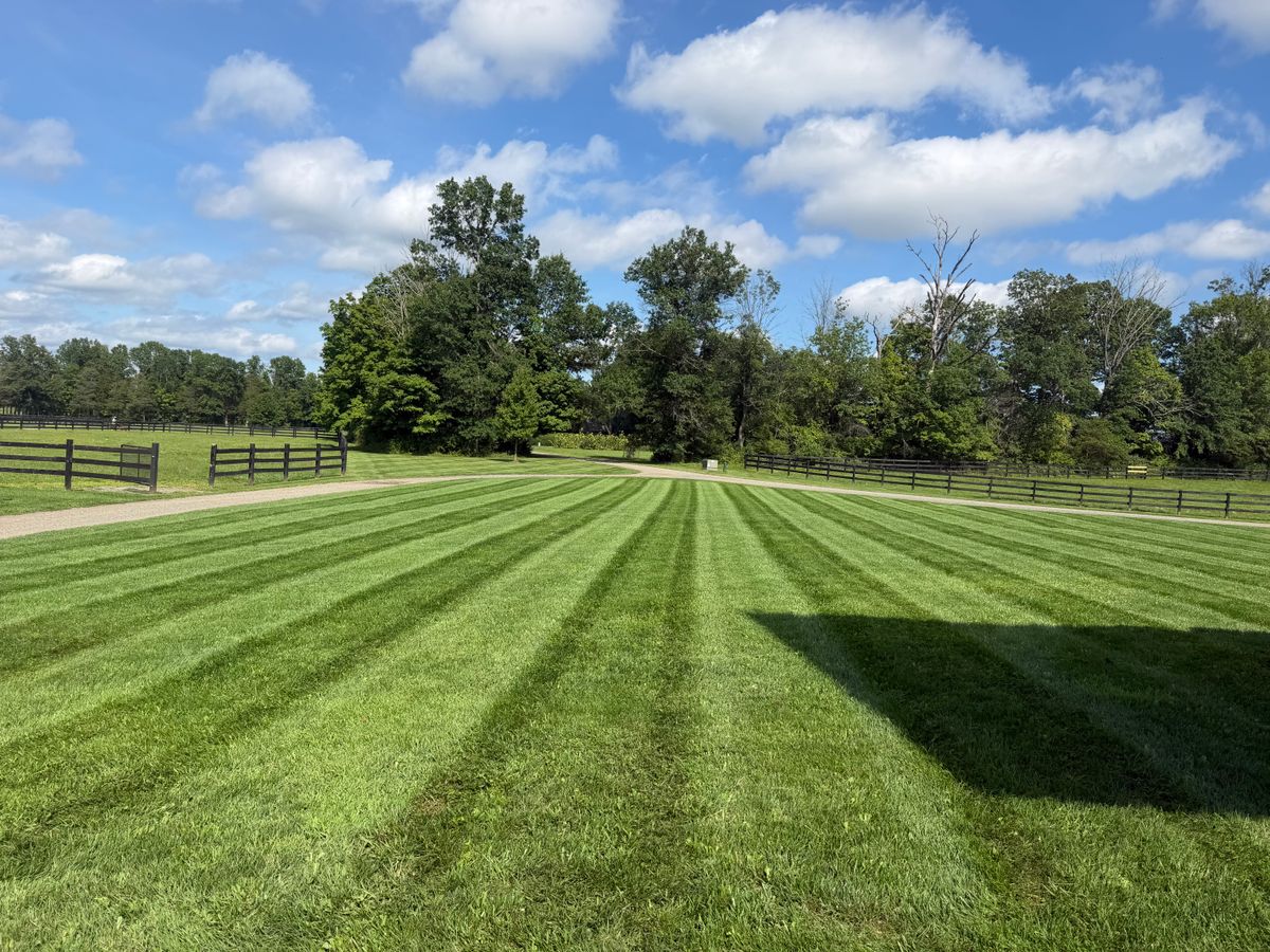 Garden Maintenance for Cristians Maintenance and Hardscaping LLC in Bedminster, NJ