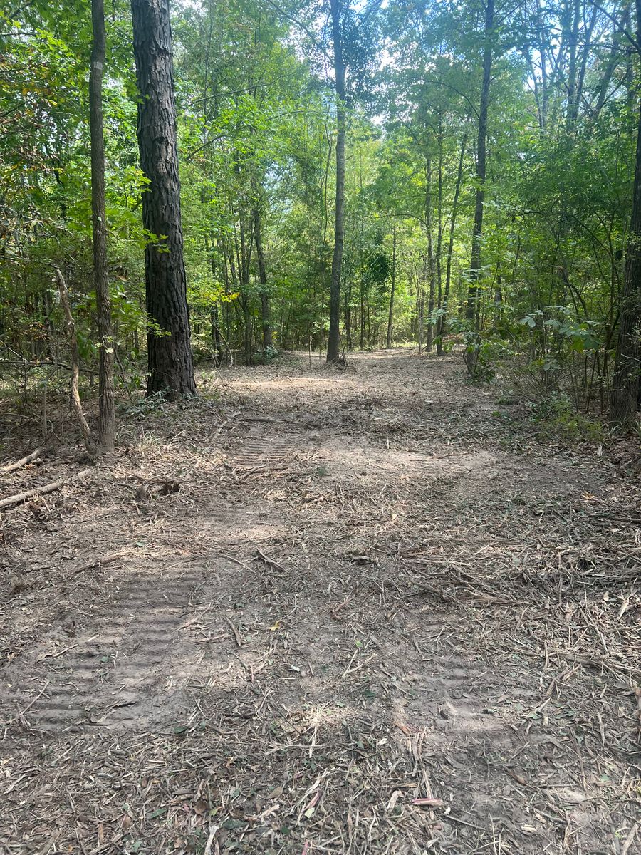 Land Clearing for 903 Mulching in East Mountain, TX