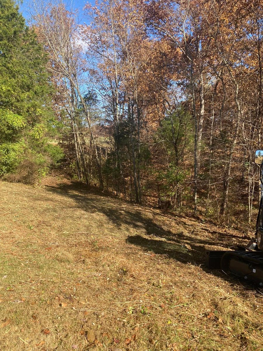 Tree Trimming for SMITHs Tree Service in Columbus, IN