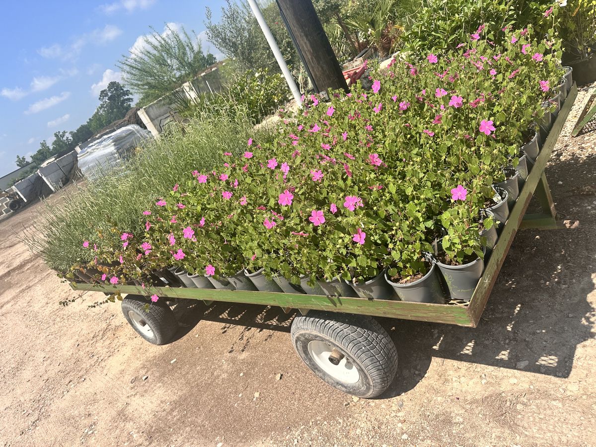 Landscape Installation for Atlas Land Design in Creekside Park, TX