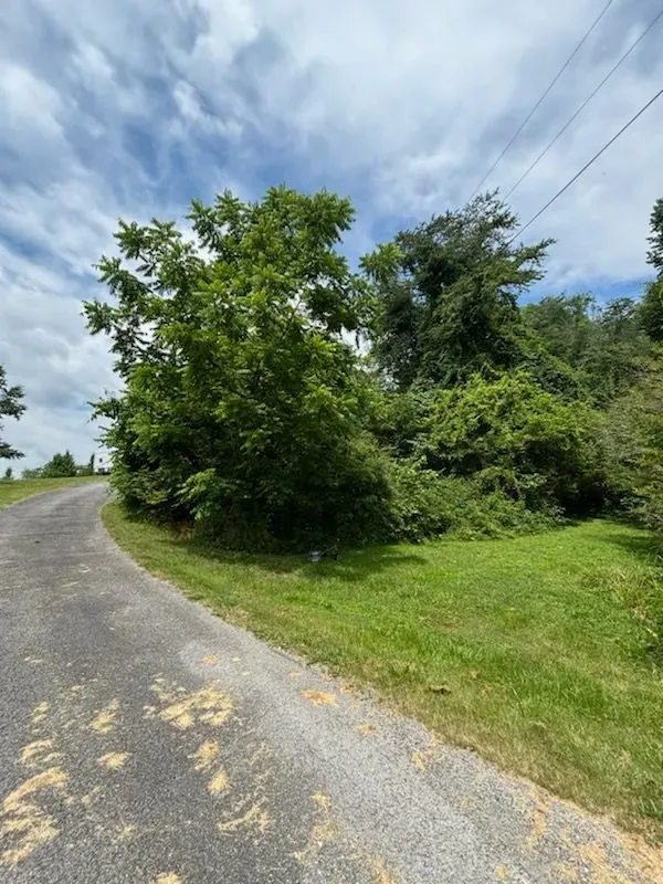 Brush Clearing for Three Rivers Dirt Works LLC in Knoxville, TN