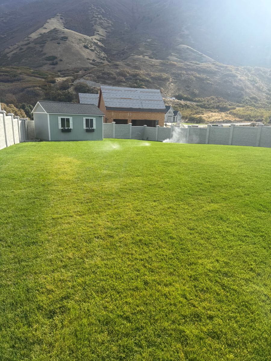 Weed Control for Platinum Lawn Service in Santaquin, UT