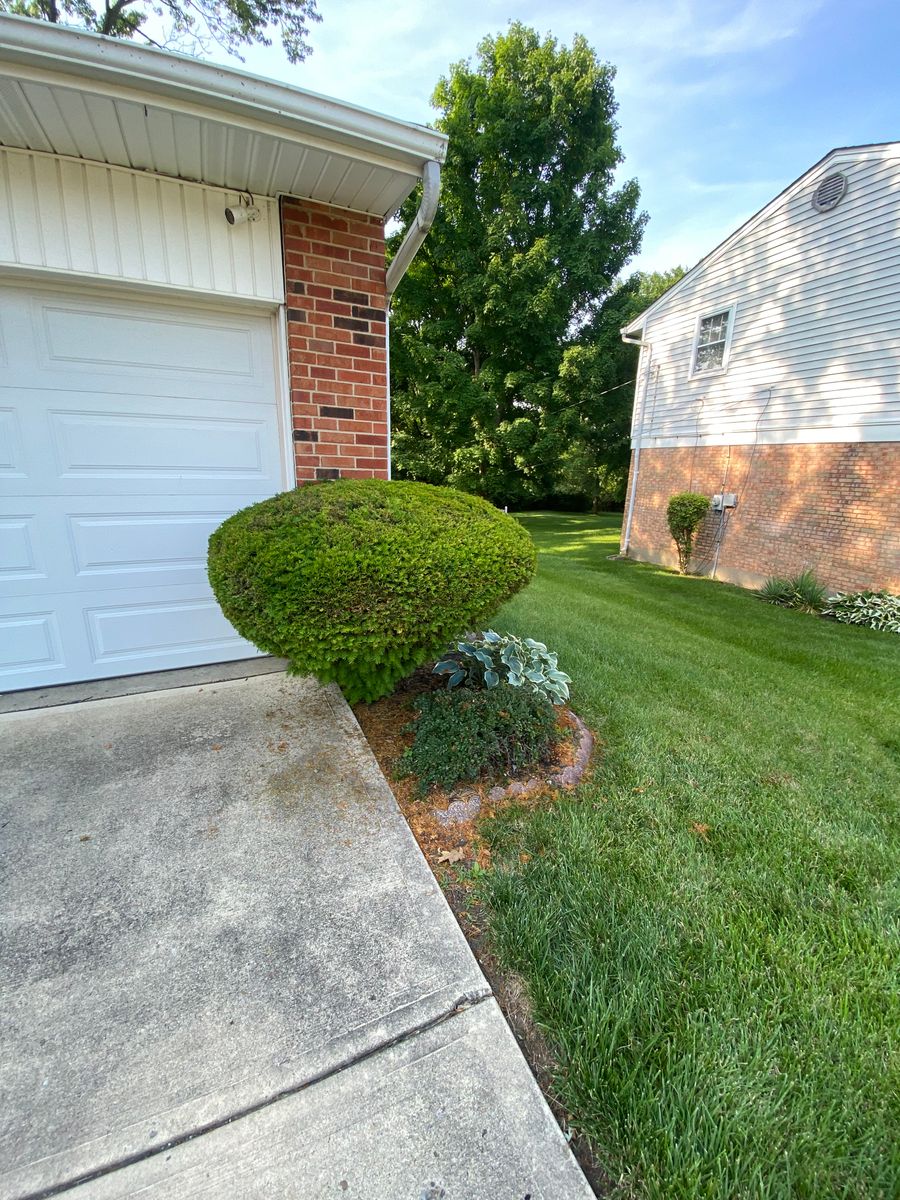 Shrub Trimming for Castle JR Landscaping & Painting LLC in Cincinnati, OH
