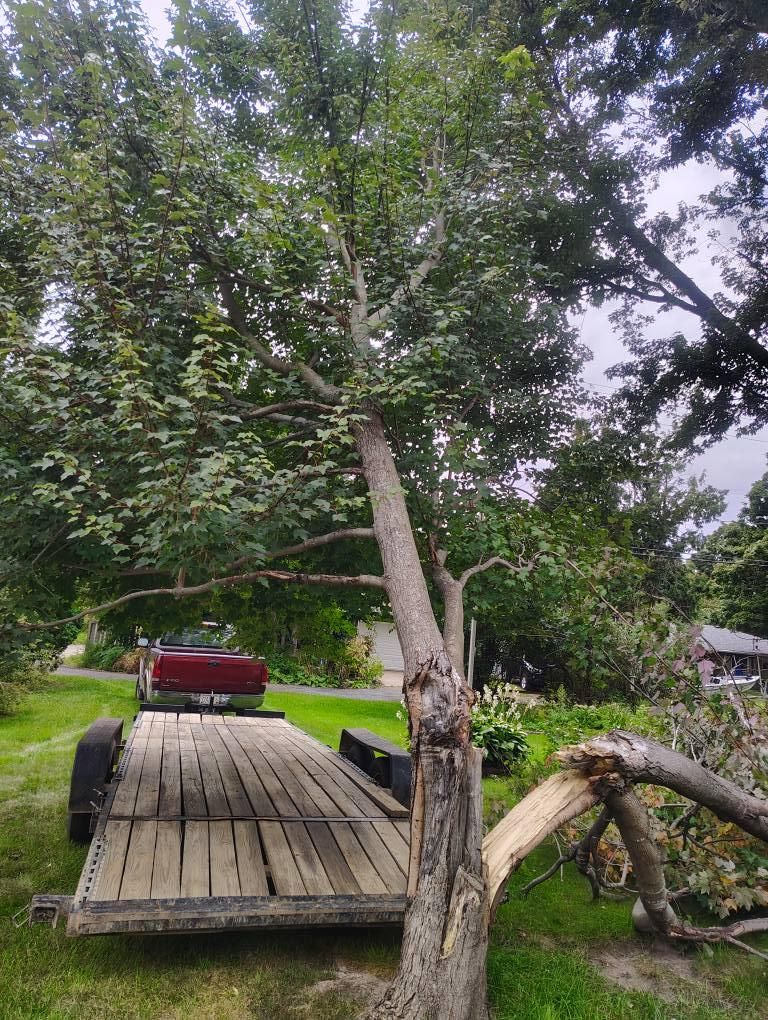 Tree Removal for Big River lawn Care services and snow LLC in Wausau, WI