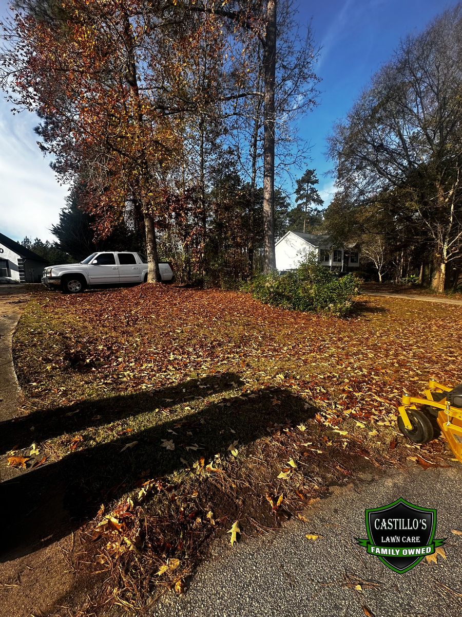Fall Clean Up for Castillo’s Lawn Care in Monroe, GA