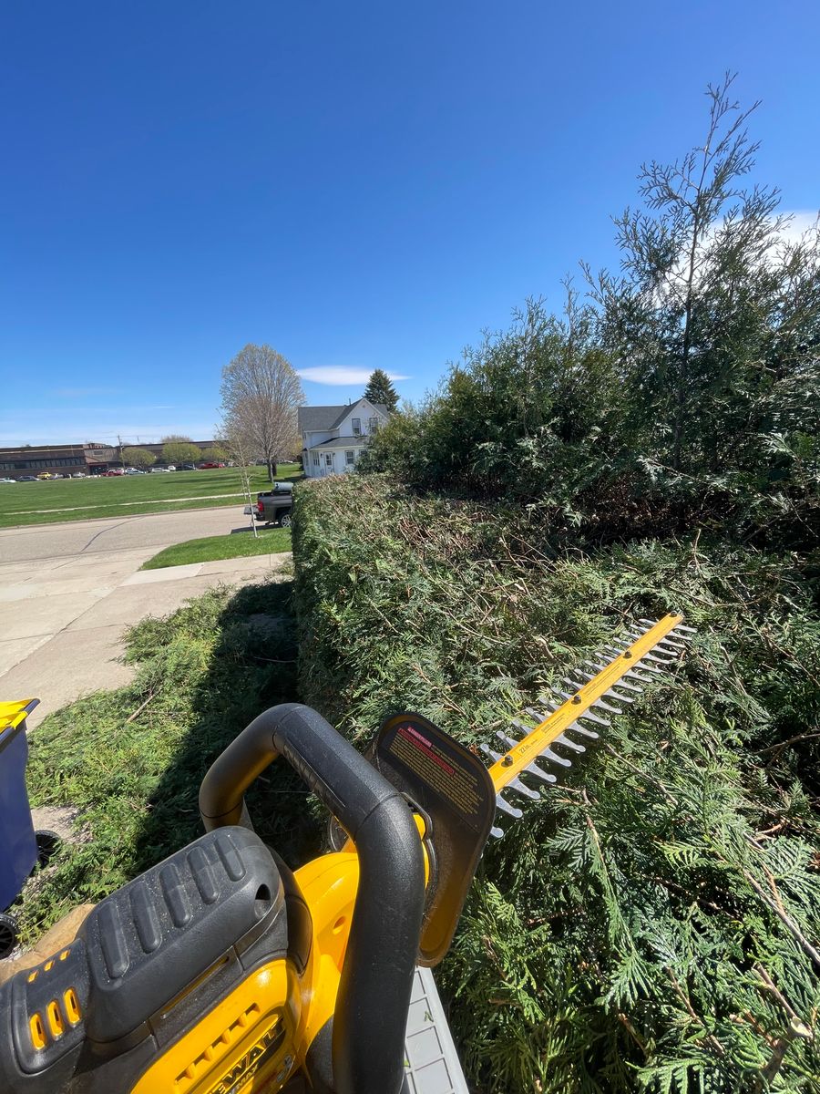 Shrub Trimming for Second Nature Landscaping in Lake City, Minnesota