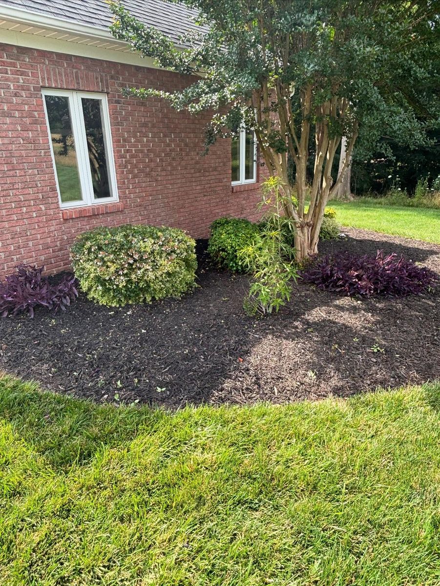 Shrub Trimming for Grandview Lawn Care in Norwood, NC