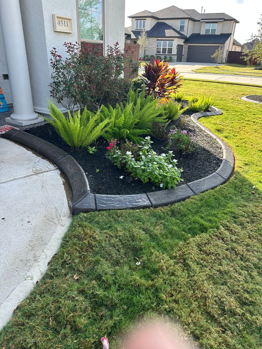 Landscaping for Texas Curb N Borders in Houston, TX