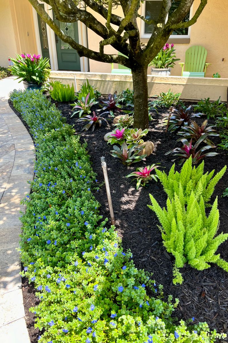 Mulch Installation for Verimay's Garden and Landscaping in Hillsborough County, FL