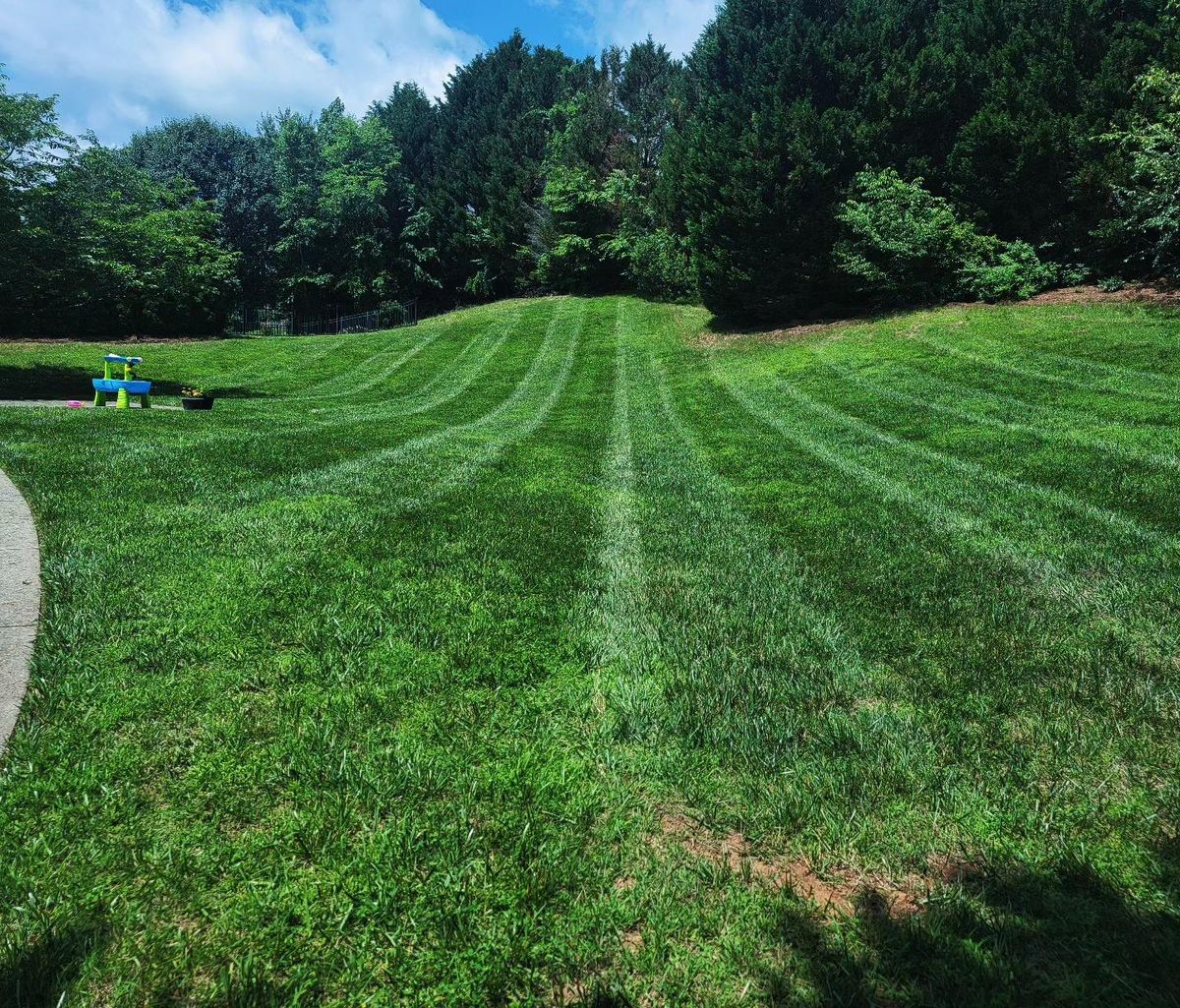 Aeration for Piedmont Lawn and Landscaping in Lexington, NC