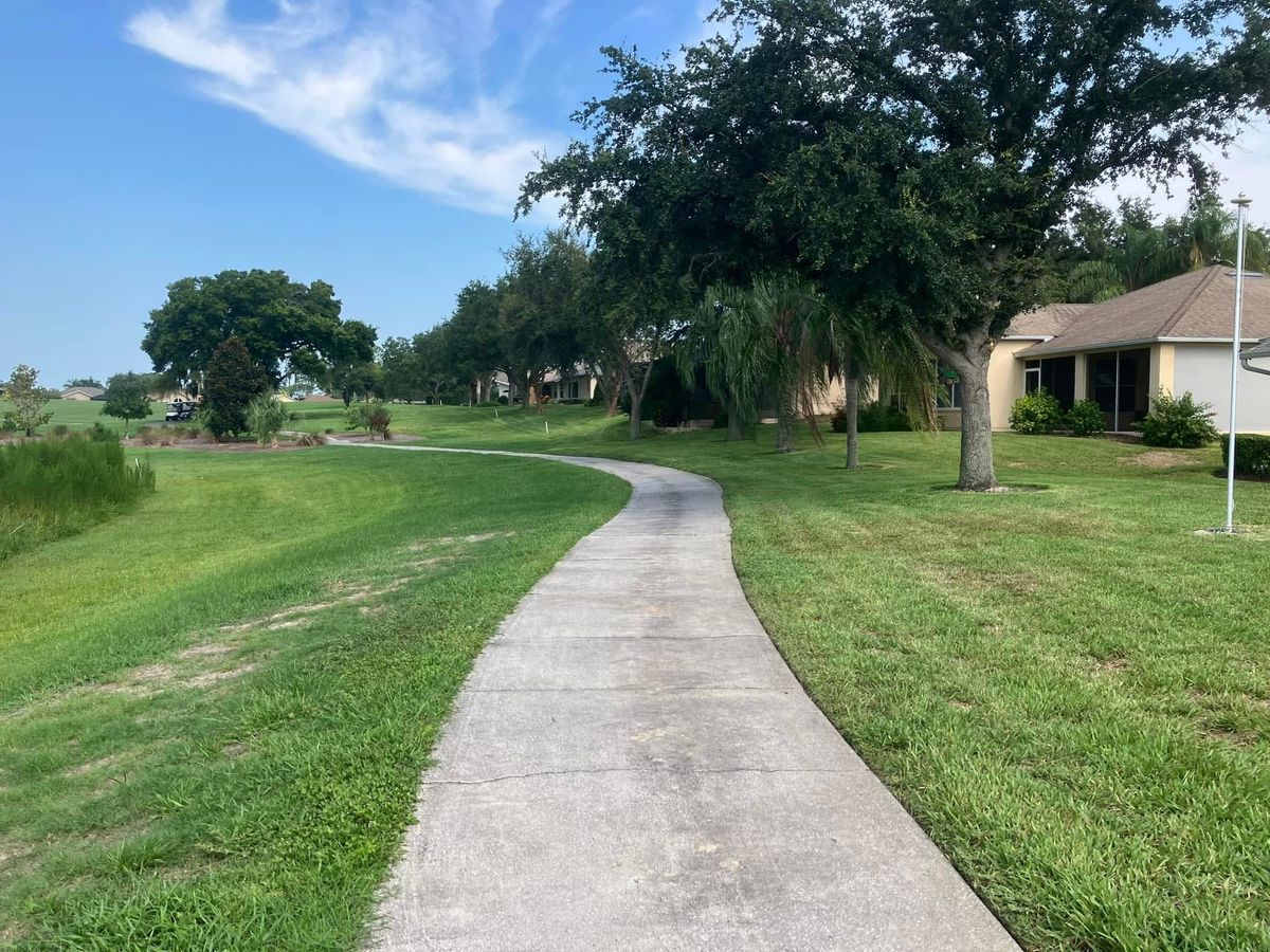 Yard Cleanups for Genesis Landscape Services in Spring Hill, FL