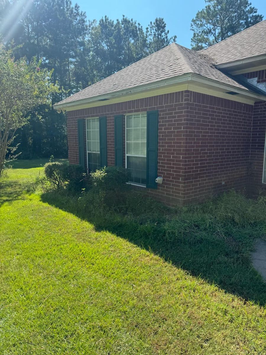 Shrub Trimming for Sanchez Odd Jobs in Carthage, TX