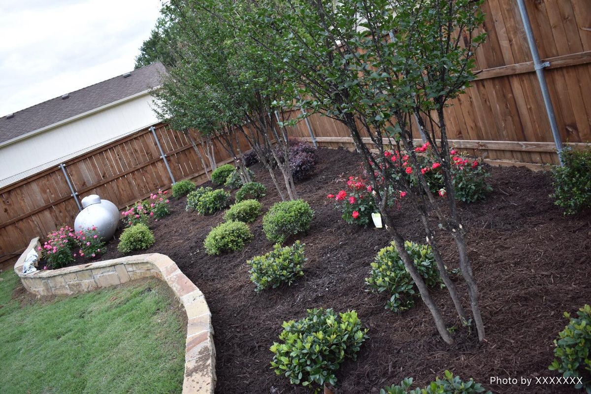 Shrub Trimming for E&D Landscape Services in Mansfield, TX