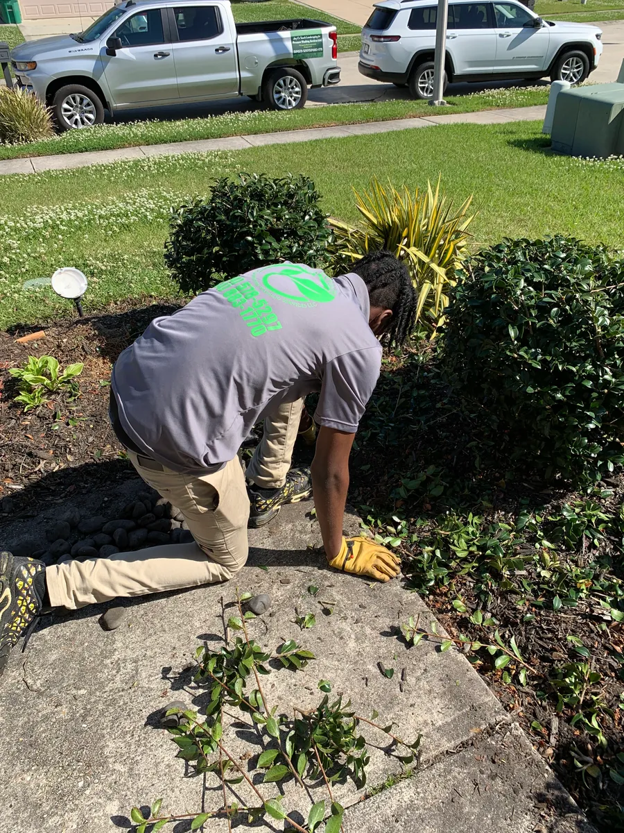 Fall Clean Up for Jay C’s Touch Landscaping & Pressure Washing Services LLC in Marrero, LA