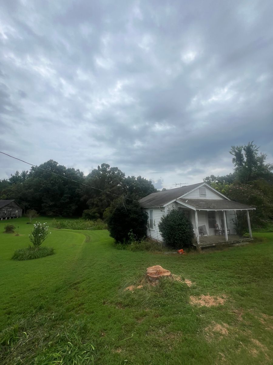 Tree Removal for Brooks Tree Service in Casar, NC