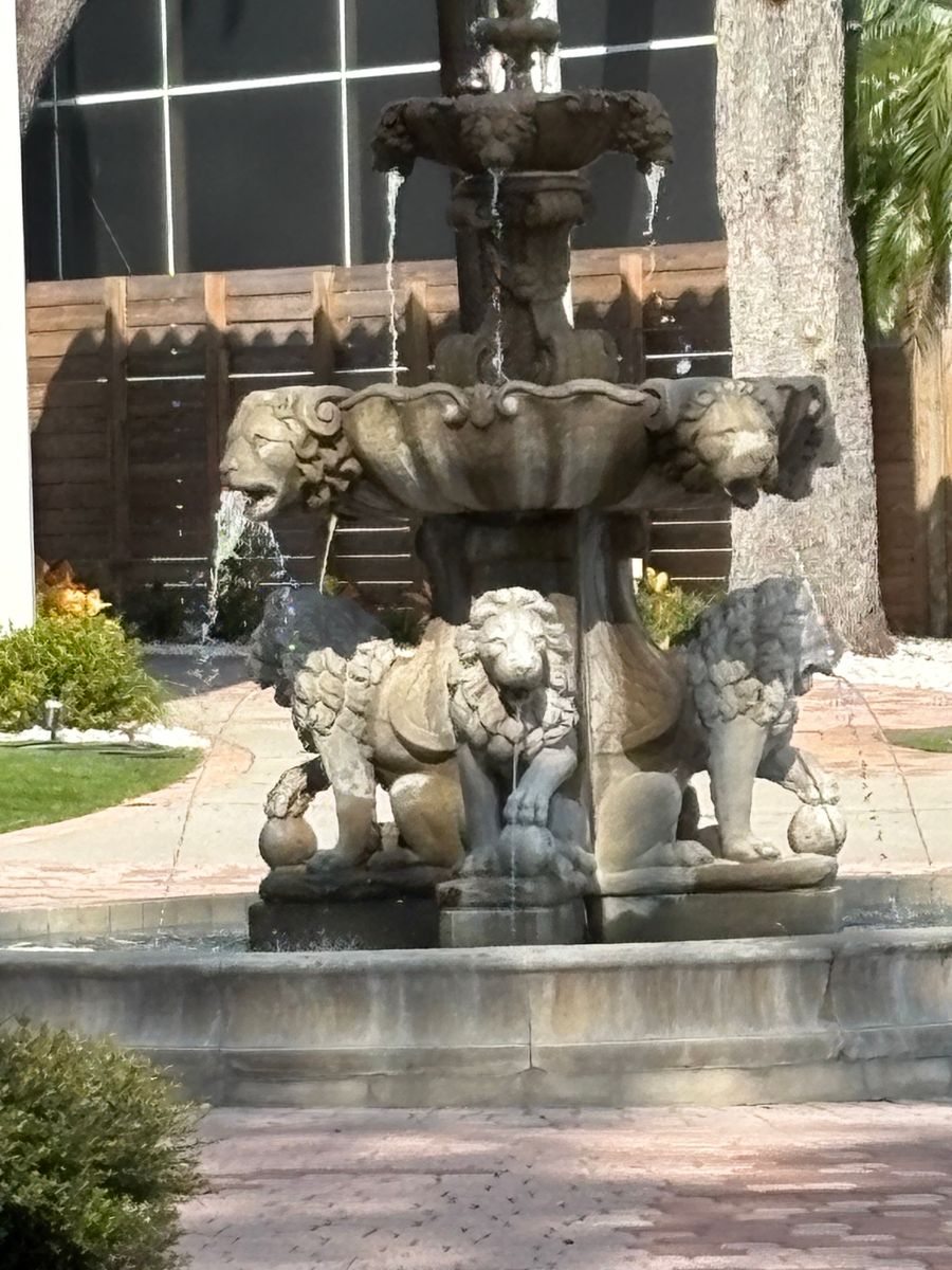 Commercials Pools for Blue Bay Pools in Tampa, FL