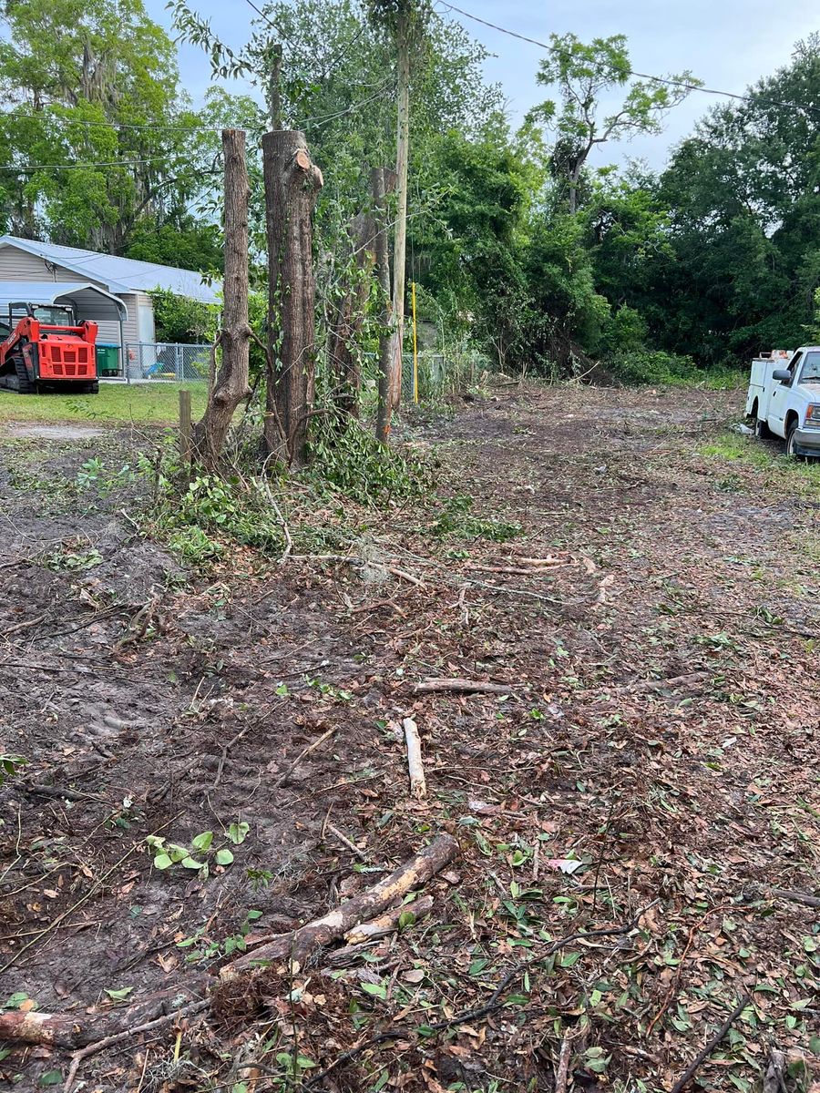 Land Clearing for B&C Tree Trimming Services in Jasper, FL