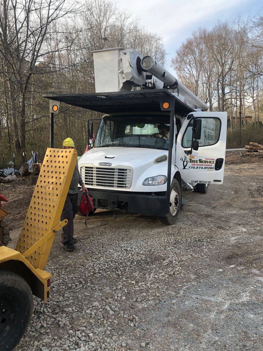 Tree Removal for M & J Tree Service & Stump Grinding in Auburn, GA