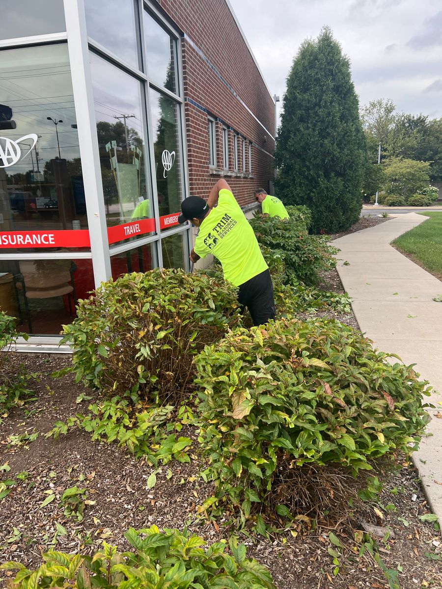 Fall Clean Up for Trim Seasonal Services in Franklin, WI