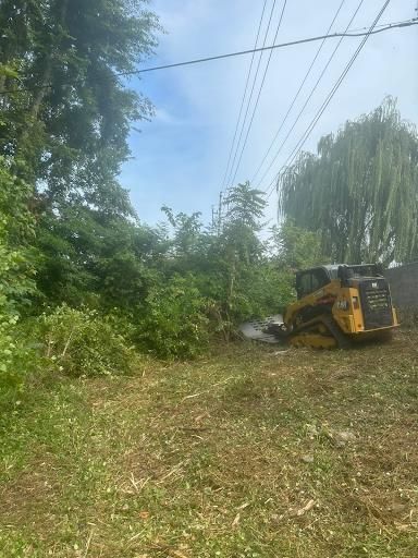 Seasonal & Specialty Services for DIRT PLUS LLC in Bowling Green, KY