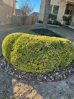 Shrub Trimming for CS LawnCare  in San Antonio,  TX