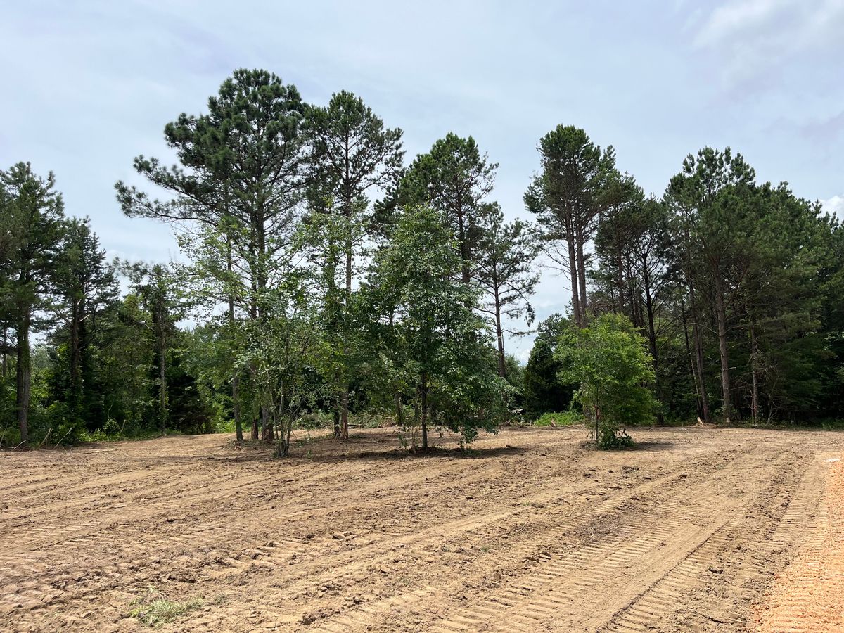 Land Clearing for Collins Constructors in Fyffe, AL