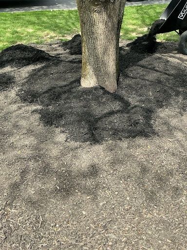 Mulch Installation for Bearforce Lawn Care LLC in Greenfield, IN