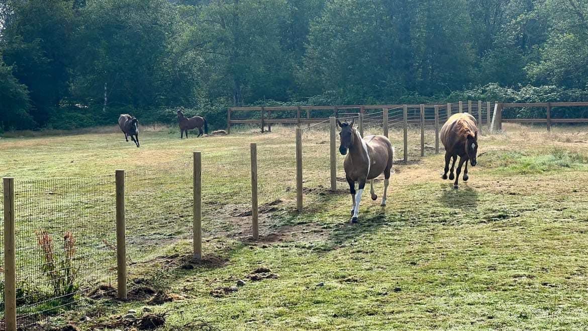 Fencing for Oats Equestrian Fencing LLC in Arlington, WA