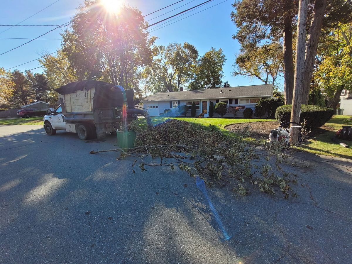 Clean Up for Reyky Landscaping & Masonry LLC in Providence,  RI