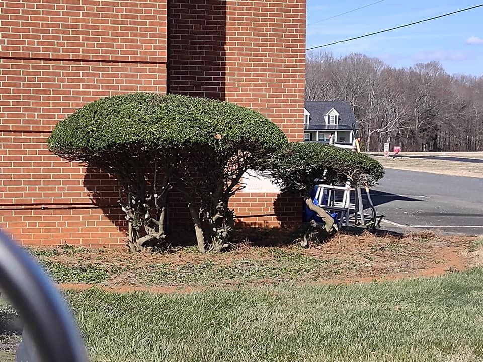 Shrub Trimming for Kerr’s Lawn Care in Salisbury, NC