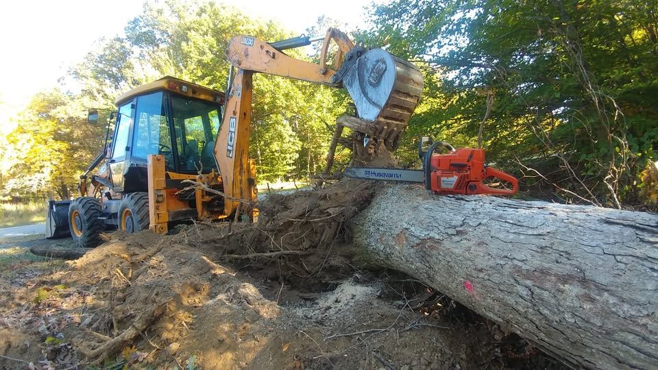Tree Removal for Hired Gunz Services LLC in La Plata, MD