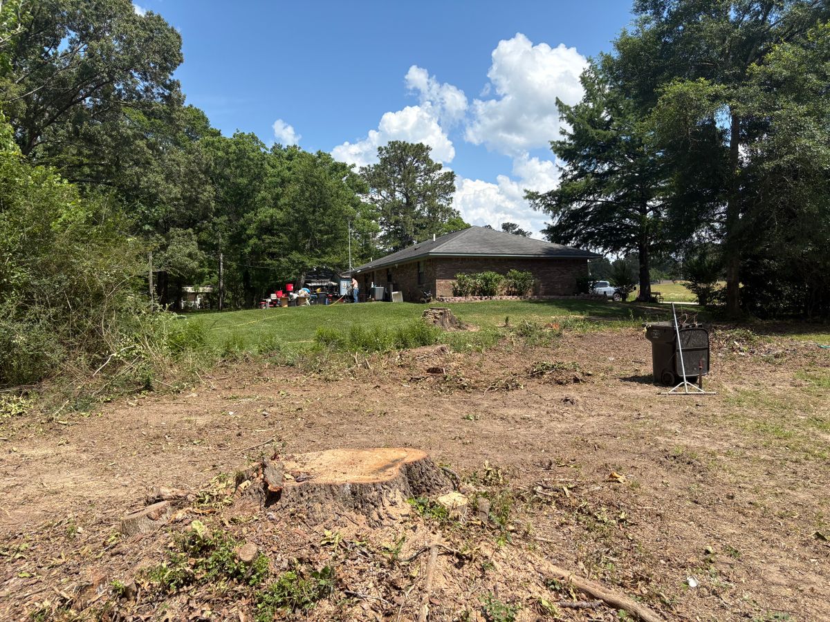 Tree Services for Broadway & McMullen Construction in Hattiesburg, MS