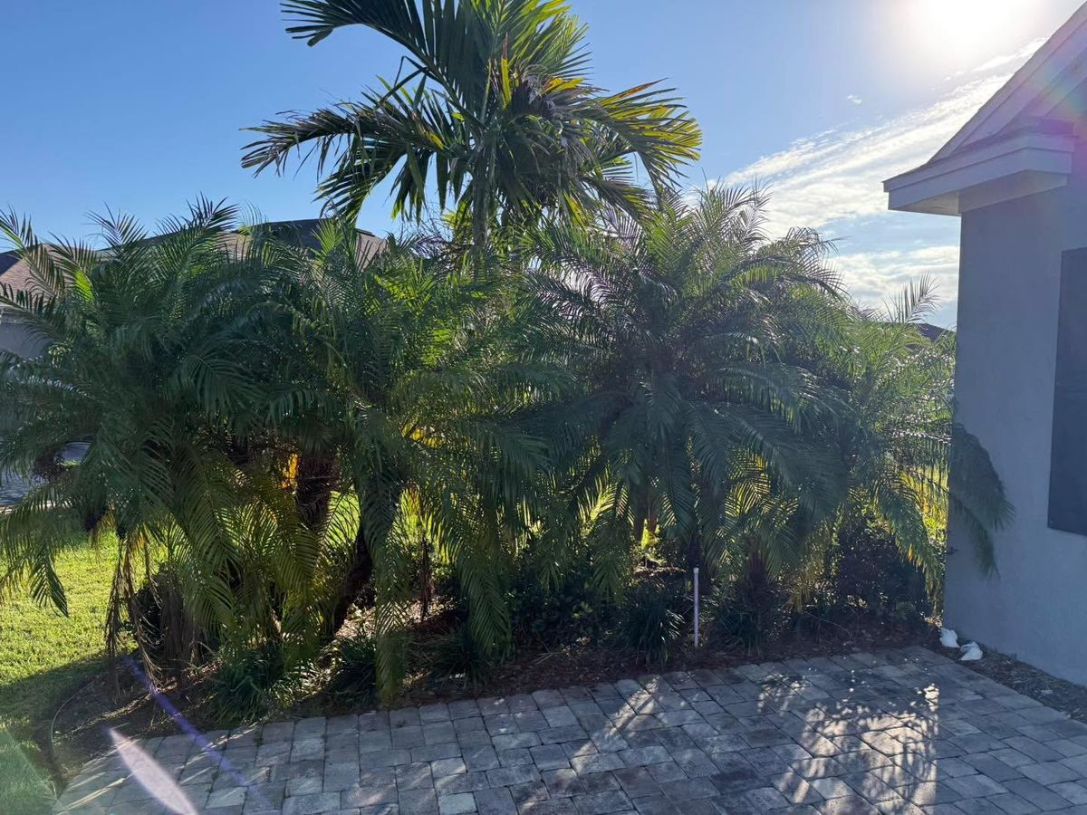 Landscape Removal for Florida Pro Turf in Rockledge, FL