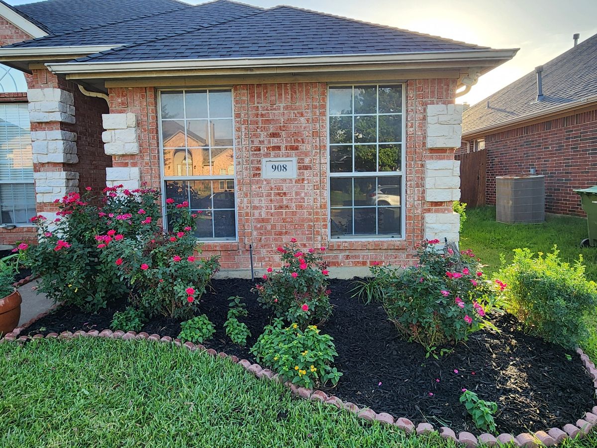 Planting for Jose's Yardservice in Keller, TX