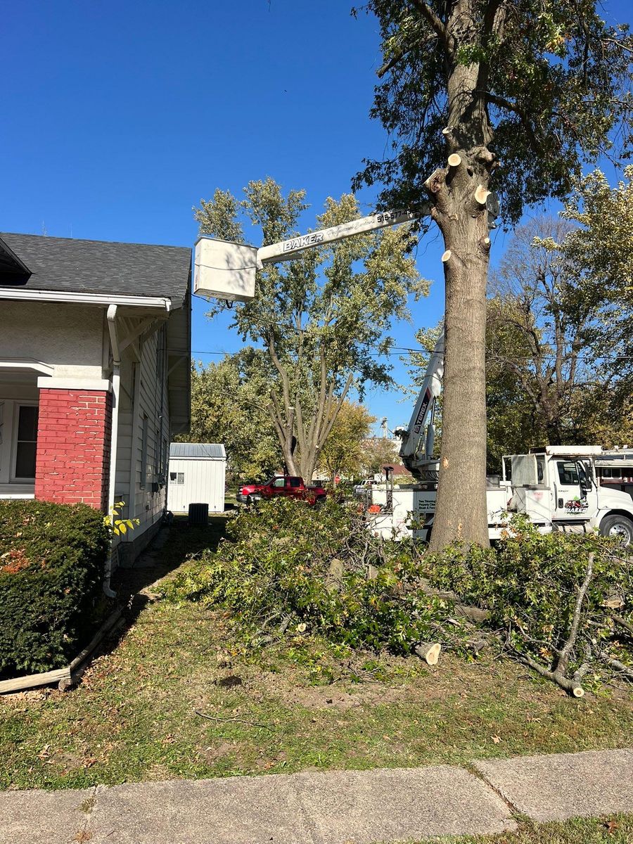 Property Clean Up for Baker Professional Services LLC in Shelbina, MO