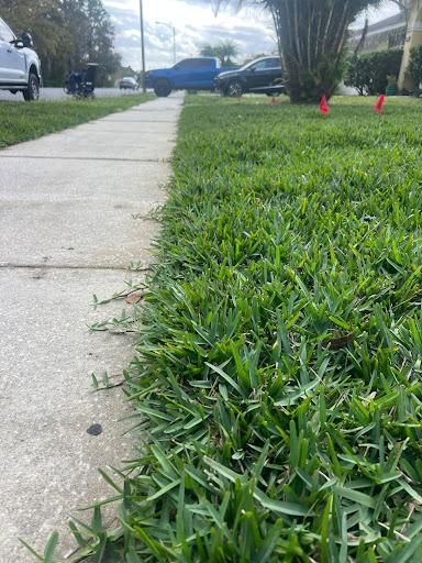 Site Prep And Cleanup for C4 Ground Control in Oviedo, FL