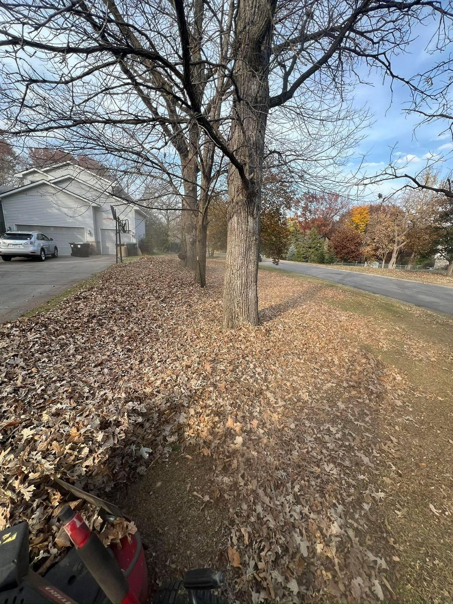 Landscaping for Luke's Lawn Care and Landscape in Andover, MN