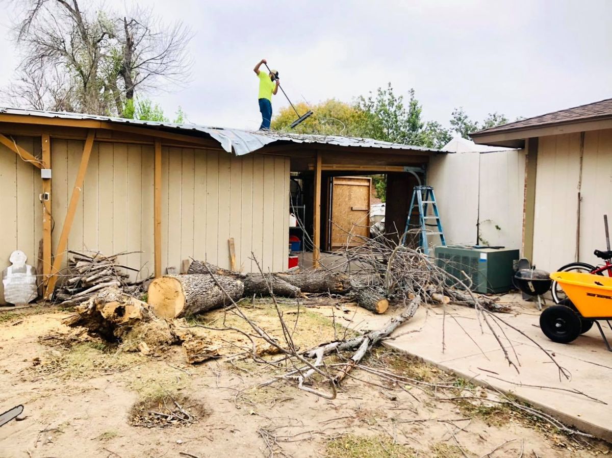 Tree Trimming and Removal for Del Real Landscape Contractors LLC in Del Rio, TX