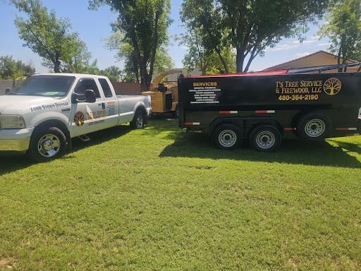 Tree Removal for T's Tree Service and Firewood in Apache Junction, AZ